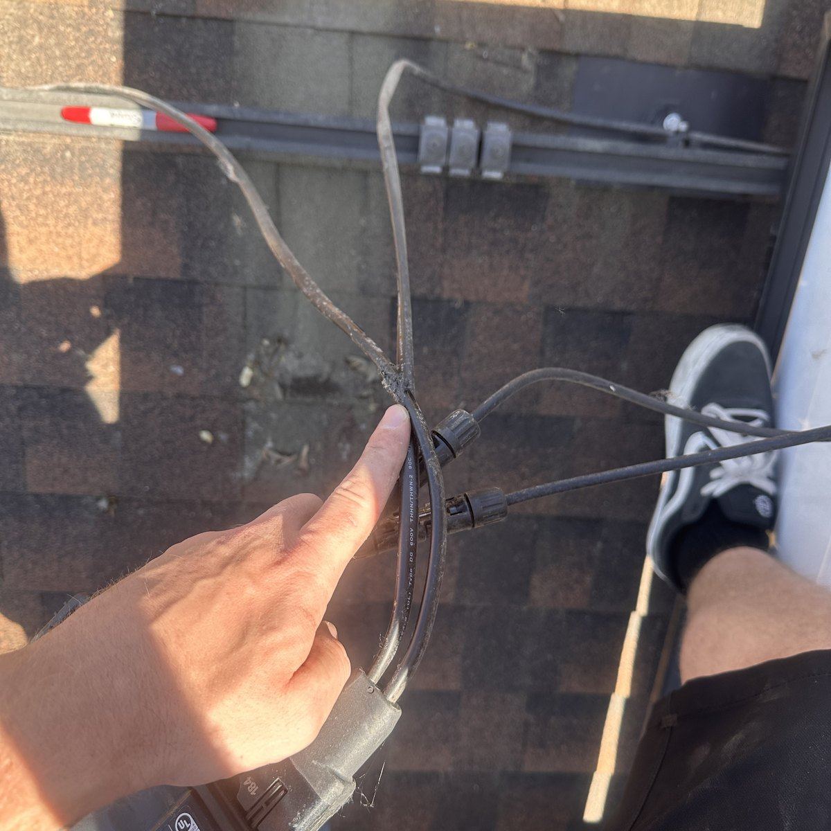 A rodent-chewed solar conductor with its jacket stripped, held beside an intact wire