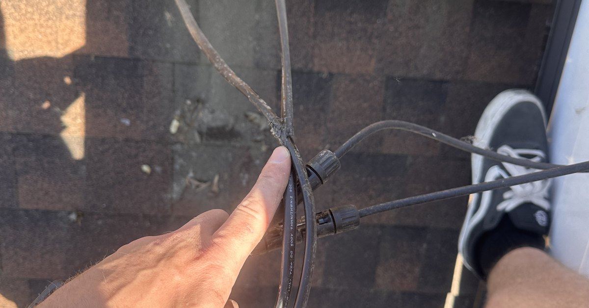 A rodent-chewed solar conductor with its jacket stripped, held beside an intact wire